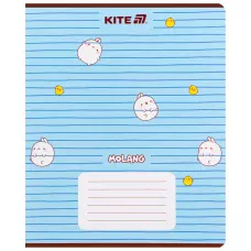 Зошит 18 арк., лінія, гібр. лак + УФ лак, Molang ML25-237 Kite