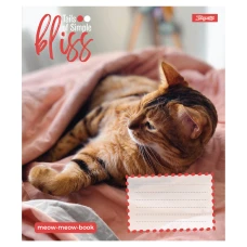 Зошит А5/12 арк лінія 1В Bliss, 768052