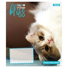 Зошит А5/12 арк лінія 1В Bliss, 768052
