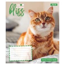 Зошит А5/12 арк лінія 1В Bliss, 768052
