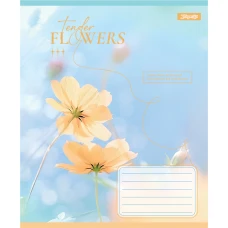 Зошит А5/24 арк лінія 1В Tender Flowers, 768077