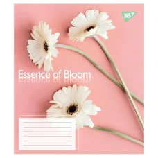 Зошит А5/18 арк кліт YES Essence of Bloom, 767715