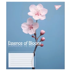 Зошит А5/24 арк кліт YES Essence of Bloom, 767717