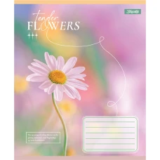 Зошит А5/60 арк лінія 1В Tender Flowers, 768083