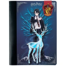 Блокнот з магнітною закладкою, А5, 60 арк., кліт., Harry Potter HP25-192 Kite
