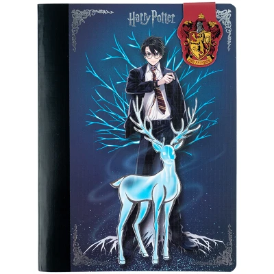 Блокнот з магнітною закладкою, А5, 60 арк., кліт., Harry Potter HP25-192 Kite