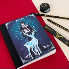 Блокнот з магнітною закладкою, А5, 60 арк., кліт., Harry Potter HP25-192 Kite