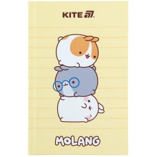 Книга записна А6, 80арк. кліт. тверда обкл. Molang ML25-199 Kite