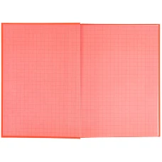 Щоденник шкільний, тверда обкл, поморанчевий, K25-262-10 Kite