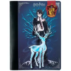 Блокнот з магнітною закладкою, А5, 60 арк., кліт., Harry Potter HP25-192 Kite