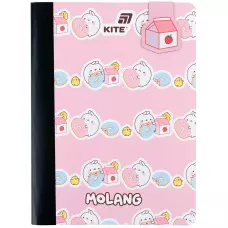 Блокнот з магнітною закладкою, А5, 60 арк., кліт., Molang ML25-192 Kite