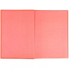 Щоденник шкільний, тверда обкл, поморанчевий, K25-262-10 Kite