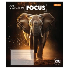 Зошит А5/60 арк лінія 1В Beasts in Focus, 768063