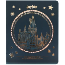 Зошит 48 арк., клітинка, фольга + УФ лак, Harry Potter HP25-259 Kite