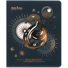 Зошит 48 арк., клітинка, фольга + УФ лак, Harry Potter HP25-259 Kite
