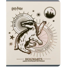 Зошит 48 арк., клітинка, фольга + УФ лак, Harry Potter HP25-259 Kite