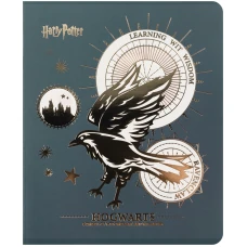 Зошит 48 арк., клітинка, фольга + УФ лак, Harry Potter HP25-259 Kite