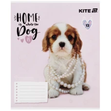 Зошит 12 арк., коса, софт тач + УФ лак, Rachael Hale R25-235 Kite