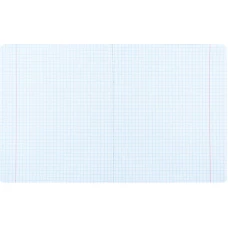 Зошит 48 арк., клітинка, УФ лак об'ємний + софт тач, One color K25-259-2 Kite