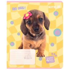 Зошит 12 арк., клітинка, софт тач + УФ лак, Studio Pets SP25-232 Kite