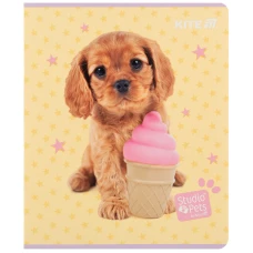 Зошит 24 арк., клітинка, софт тач + УФ лак, Studio Pets SP25-238 Kite