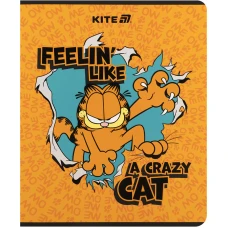 Зошит 24 арк., клітинка, УФ лак об'ємний + софт тач, Garfield GF25-238 Kite
