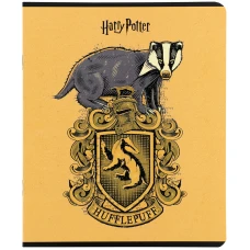 Зошит 24 арк., лінія, гібр. лак + УФ лак, Harry Potter HP25-239 Kite