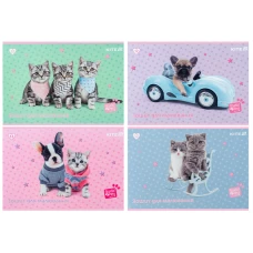 Зошит для малювання, 12 арк., скоба, софт тач + УФ лак, Studio Pets SP25-241 Kite