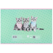 Зошит для малювання, 12 арк., скоба, софт тач + УФ лак, Studio Pets SP25-241 Kite