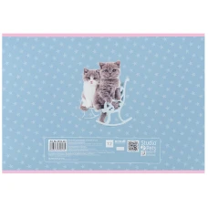 Зошит для малювання, 12 арк., скоба, софт тач + УФ лак, Studio Pets SP25-241 Kite