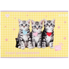 Зошит для малювання, 24 арк., скоба, софт тач + УФ лак, Studio Pets SP25-242 Kite