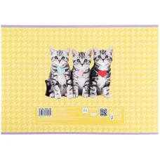 Зошит для малювання, 24 арк., скоба, софт тач + УФ лак, Studio Pets SP25-242 Kite