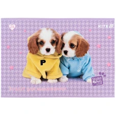 Зошит для малювання, 24 арк., скоба, софт тач + УФ лак, Studio Pets SP25-242 Kite