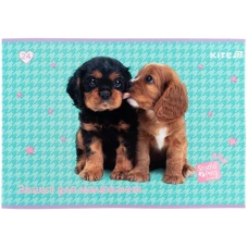 Зошит для малювання, 24 арк., скоба, софт тач + УФ лак, Studio Pets SP25-242 Kite