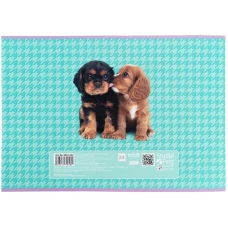 Зошит для малювання, 24 арк., скоба, софт тач + УФ лак, Studio Pets SP25-242 Kite