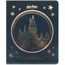 Зошит 48 арк., клітинка, фольга + УФ лак, Harry Potter HP25-259 Kite