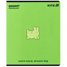 Зошит 48 арк., клітинка, УФ лак об'ємний + софт тач, One color K25-259-2 Kite