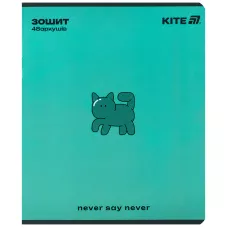 Зошит 48 арк., клітинка, УФ лак об'ємний + софт тач, One color K25-259-2 Kite