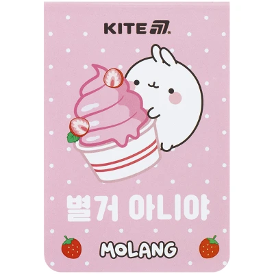 Блокнот 48арк., 70*105мм. Molang ML25-224 Kite
