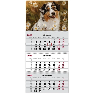 Календар настінний квартальний 2026 р.,3 пр. Dogs 1, 8803-26-16-A