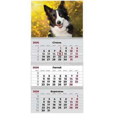 Календар настінний квартальний 2026 р.,3 пр. Dogs 3, 8803-26-18-A