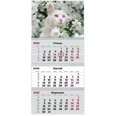 Календар настінний квартальний 2026 р.,3 пр. Cats 3, 8803-26-15-A