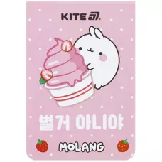 Блокнот 48арк., 70*105мм. Molang ML25-224 Kite