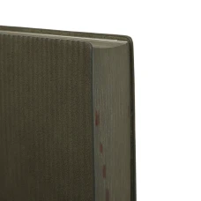 Щоденник-діловий записник А5 Leo Planner датований 2026 "Velvet", м'який, темно-зелений, 368 с, 252637