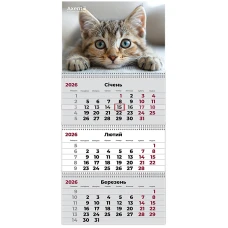 Календар настінний квартальний 2026 р.,3 пр. Cats 1, 8803-26-13-A