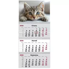 Календар настінний квартальний 2026 р.,3 пр. Cats 1, 8803-26-13-A