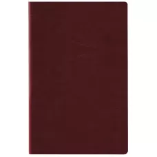 Щоденник 2026 Partner City Soft, 145*210, коричневий, 8821-26-05-A