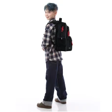 Рюкзак GoPack Education GO26-182M-5 Born To Win