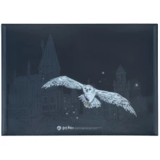 Папка на кнопці А4, HP25-244-2 Harry Potter