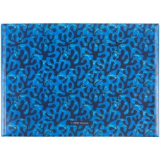 Папка на кнопці А4, SB25-244 SpongeBob SquarePants